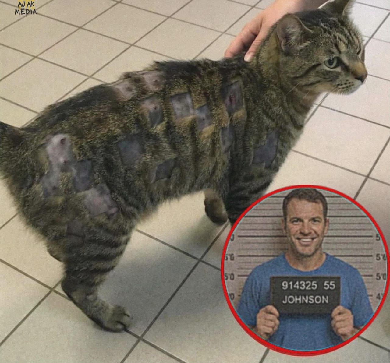 اعتدوا على حيوانٍ أعزل… فدفعوا الثمن بطريقة صادمة