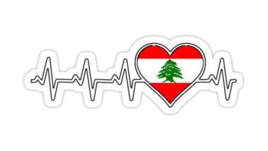 مارفن عجور: "إلى لبنان... عيد حبّ سعيد"