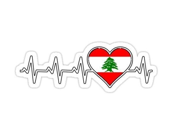 مارفن عجور: "إلى لبنان... عيد حبّ سعيد"