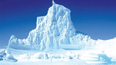 التكنولوجيا تبلغ القطب… والثلج تحت المجهر