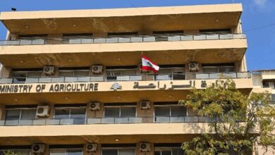 بيان من وزارة الزراعة توضح فيه عن انتشار مرض وبائي جديد