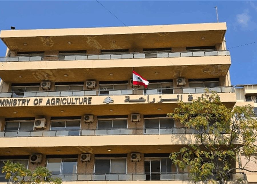 بيان من وزارة الزراعة توضح فيه عن انتشار مرض وبائي جديد