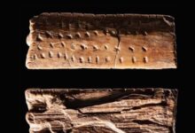 عمرها 40 ألف سنة... رموز تكشف عن فصل مفقود من تاريخ البشرية