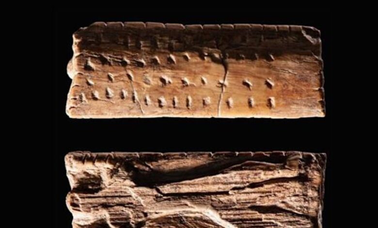 عمرها 40 ألف سنة... رموز تكشف عن فصل مفقود من تاريخ البشرية