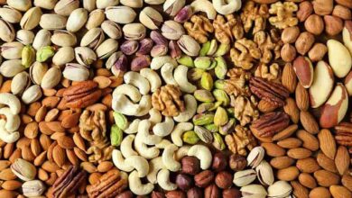 حفنة يوميًا تصنع الفرق... هذه المكسرات تخفّض الكوليسترول وتدعم الدماغ والقلب