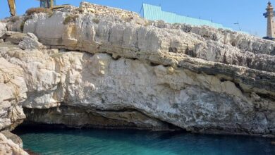 مغارة فقمة عمشيت بين حماية الإرث البيئي واختبار دولة القانون