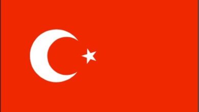 كم بلغ عدد الجرحى إثر إطلاق نار في مدرسة بجنوب شرق تركيا؟