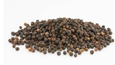 تعرف على فوائد الفلفل الأسود للجهاز التنفسي