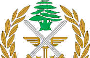 الجيش: مسيّرة تستهدف عنصرًا على دفعتين